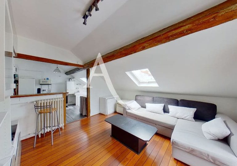 achat appartement charenton le pont: 2 pièces 48 m², séjour avec cuisine ouverte, entièrement rénové